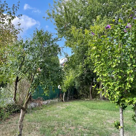 Apartamento Only The 5 Tra Venezia E Treviso San Trovaso