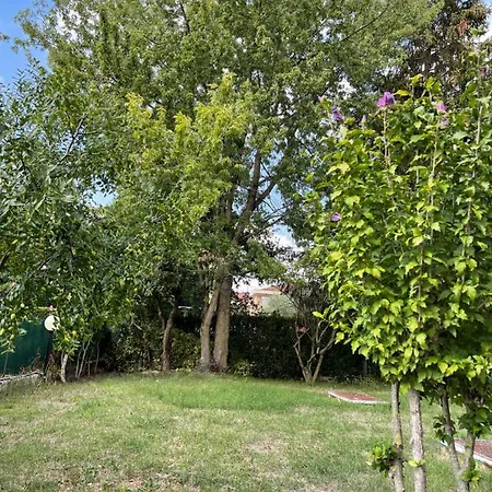 Apartment Only The 5 La Tua Tra Venezia E Treviso